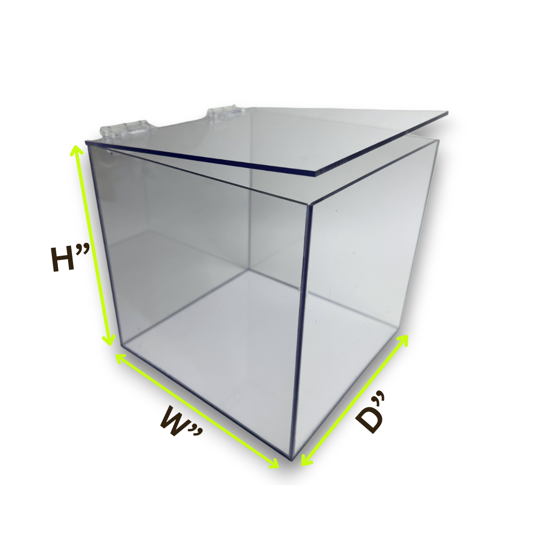 Acrylic 5-Sided Box w/ Hinged Lid