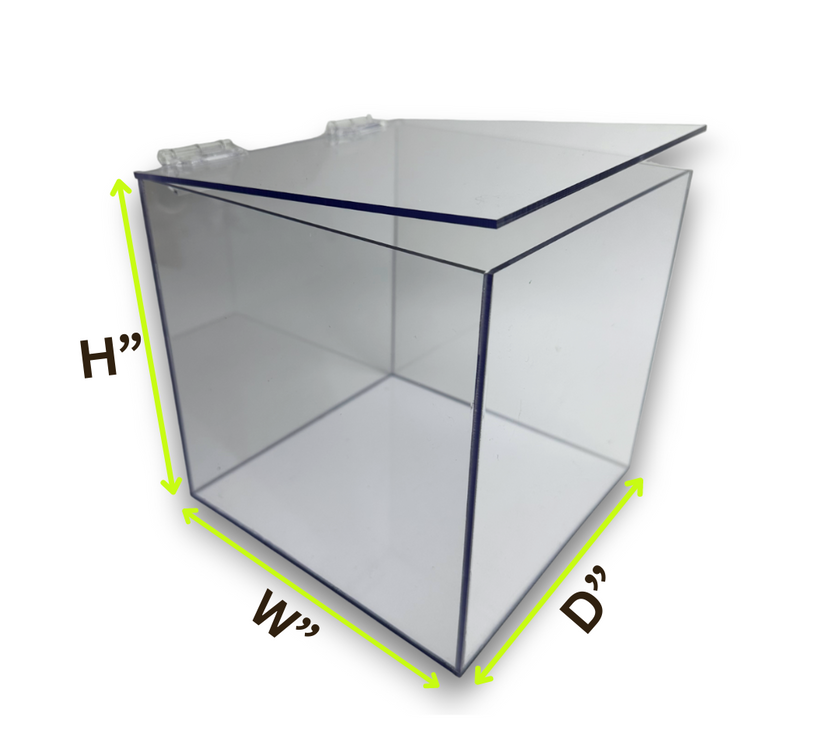 Acrylic 5-Sided Box w/ Hinged Lid