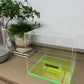 Acrylic 5-Sided Box w/ Fluorescent Green Acrylic Base